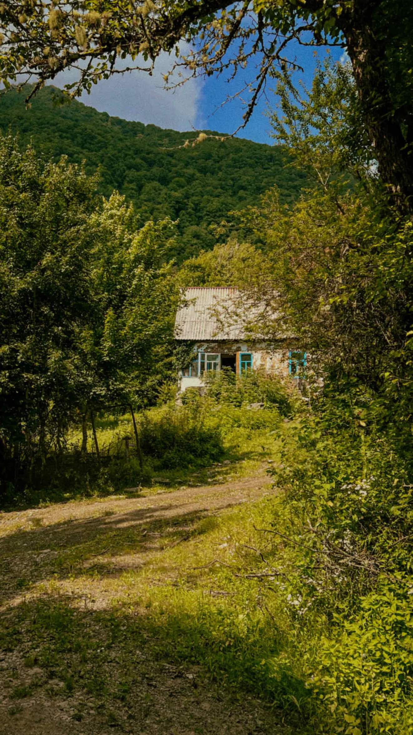 Старый деревянный дом с голубыми окнами в горном селе, вид с дороги