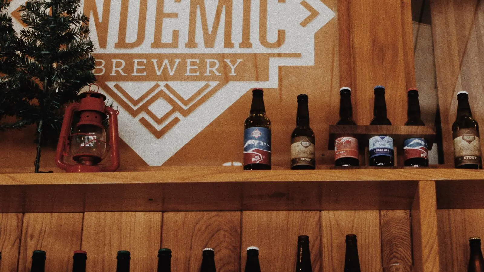 Ряд бутылок крафтового пива на полке под вывеской «Endemic Brewery»